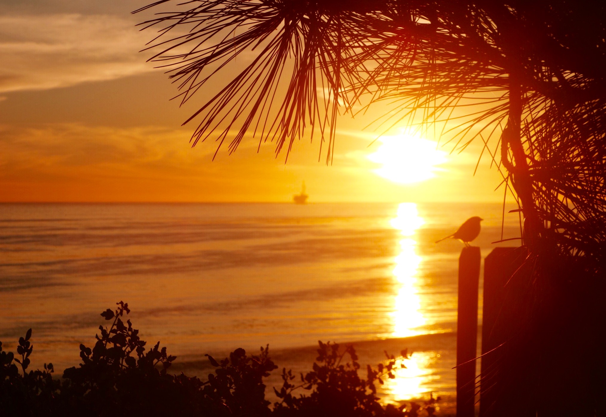 Santa Barbara Sunset Ocean